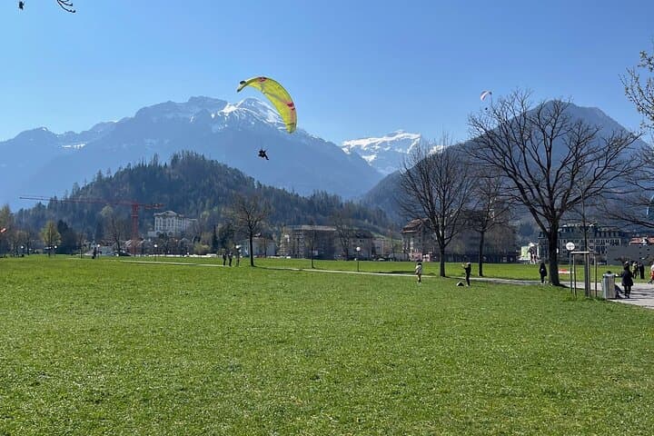 Basel to or from Interlaken Private Transfer for 1-4 passengers