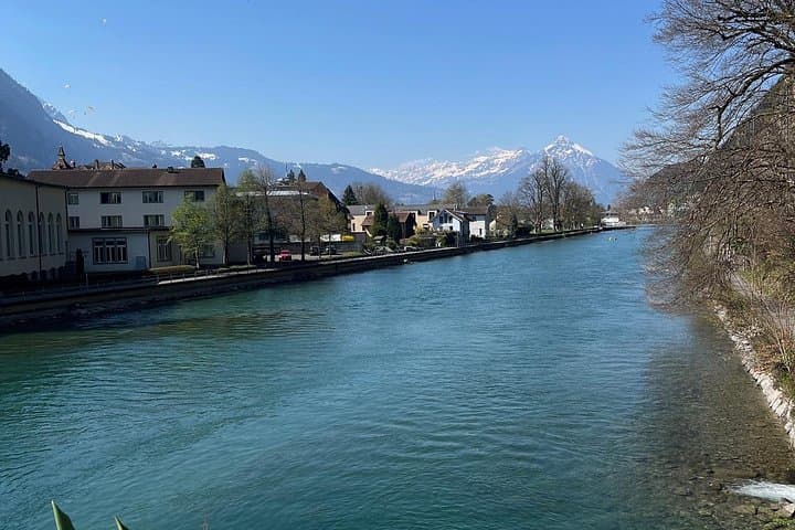 Basel to or from Interlaken Private Transfer for 1-4 passengers