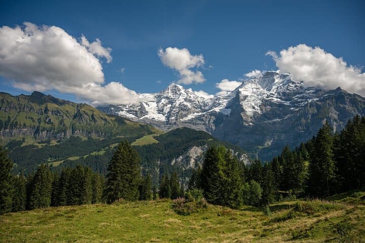 Murren Panoramic Walk: Alpine Views & Meadows