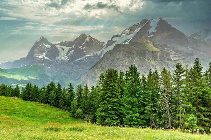 Murren Panoramic Walk: Alpine Views & Meadows