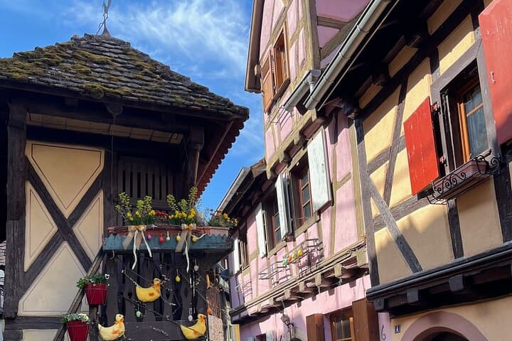 Alsace's Villages, Colmar and Castle Private Car Tour for 1-6