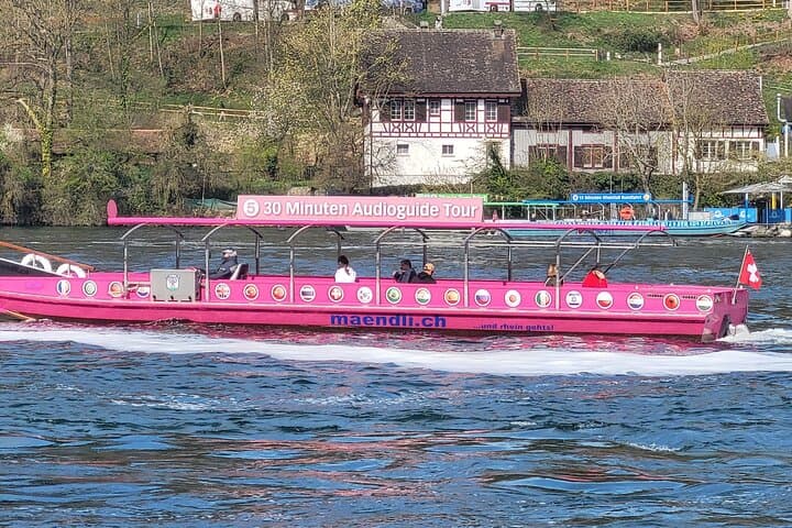 Rhine Falls & Stein am Rhein Private Tour