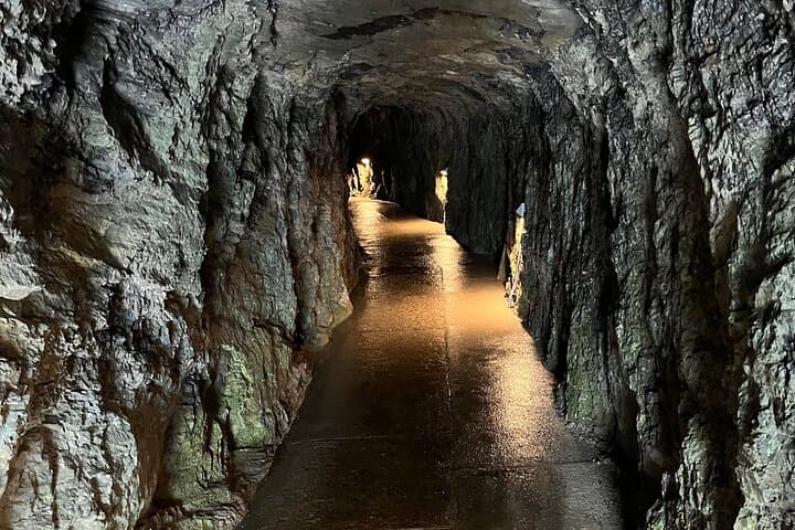 Pilatus, Aareschlucht, Beautus. All inclusive PrivateTour 1-4