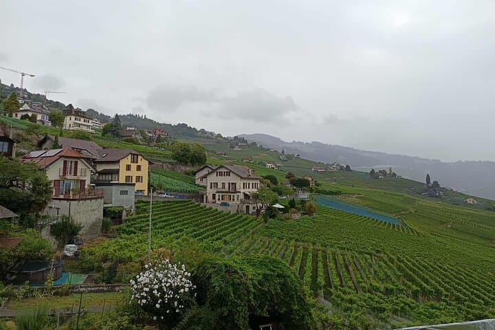 Great Wine Capital Lausanne, winetaste at Lavaux vineyards