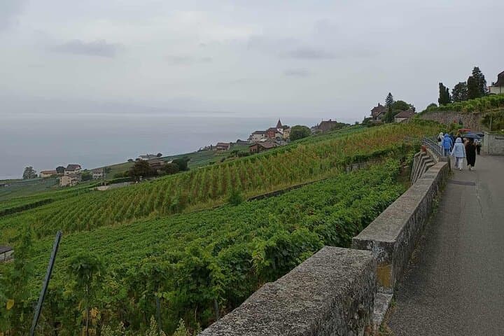 Great Wine Capital Lausanne, winetaste at Lavaux vineyards