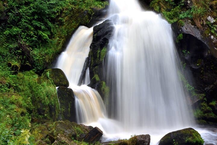 The Best of Nature Rhine Falls Black Forest Private Experience
