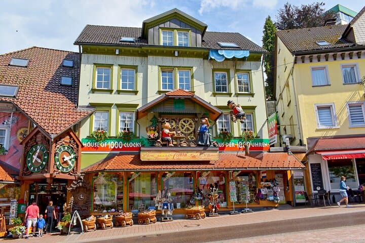 The Best of Nature Rhine Falls Black Forest Private Experience