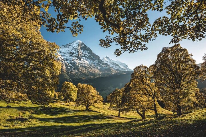 Day tour to Grindelwald, Interlaken and Lauterbrunnen