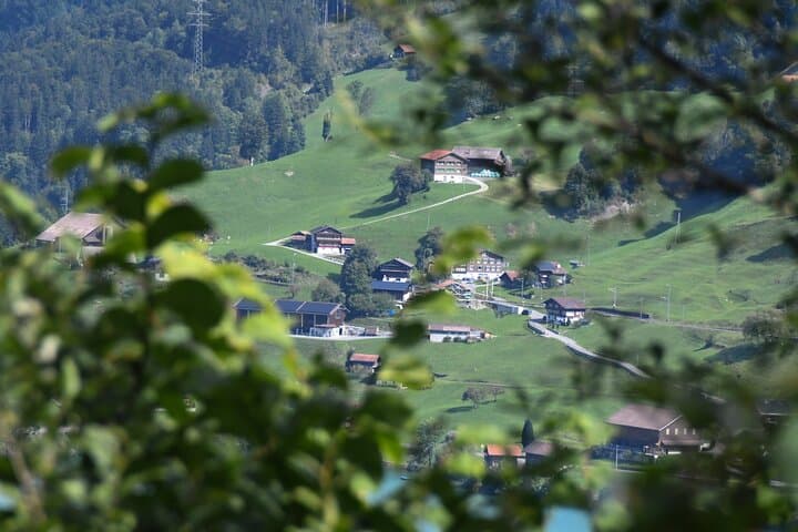 Basel to or from Interlaken Private Transfer for 1-4 passengers