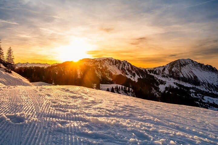 Winter Sledging Adventure (Private Tour)