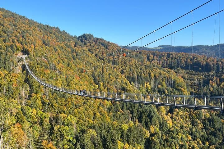 Black Forest Germany Private Car Tour for 1 to 6 Persons