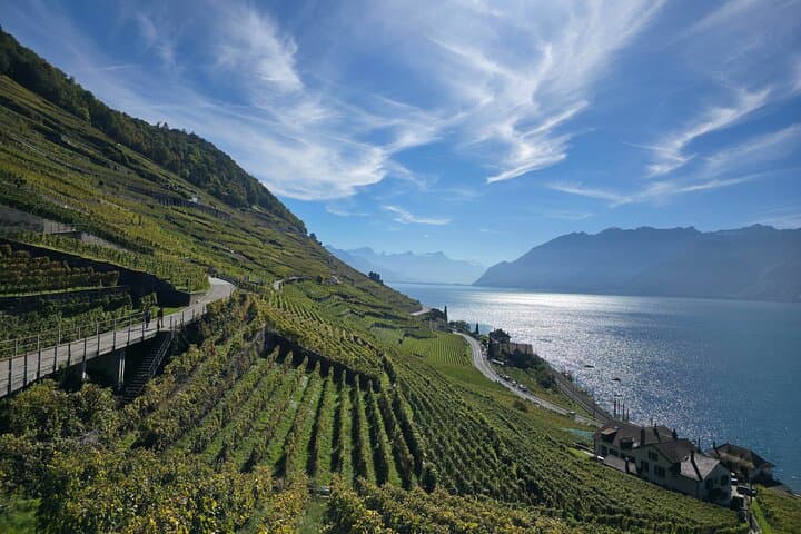 From Geneva Gruyere Chocolate, Wine, Cheese Tasting Trip