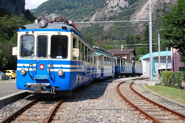 Hardcore Tour for Railfans: 4 Scenic Swiss Express Trains – 1 Day