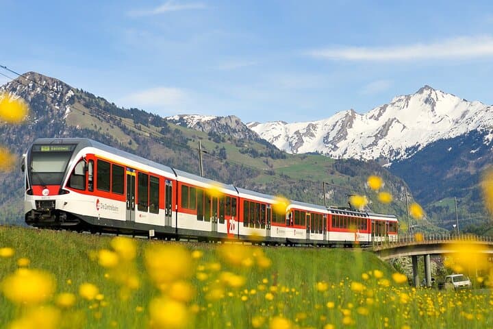 Hardcore Tour for Railfans: 4 Scenic Swiss Express Trains – 1 Day