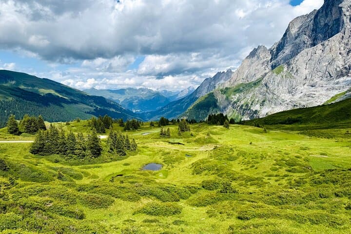 Breathtaking panoramic views over alpine meadows and the dramatic ridges of the Bernese Alps.