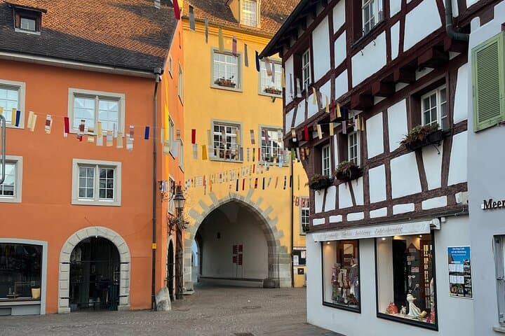Rheinfalls, Lake Constance and Historic Villages Private Car Tour