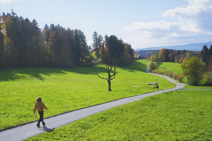 Zurich Private City Tour with Photos and Cable Car Ride