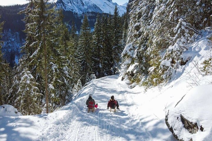 Sledding Adventure from Kleine Scheidegg to Wengen