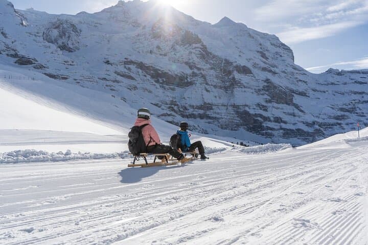Sledding Adventure from Kleine Scheidegg to Wengen
