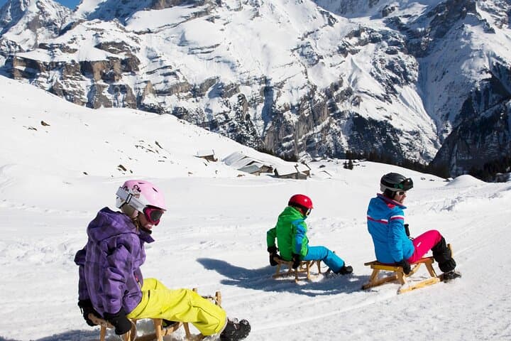 Sledding Adventure from Kleine Scheidegg to Wengen