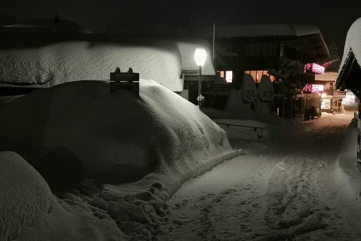 Fondue and Night Sledging: An Authentic Swiss Evening