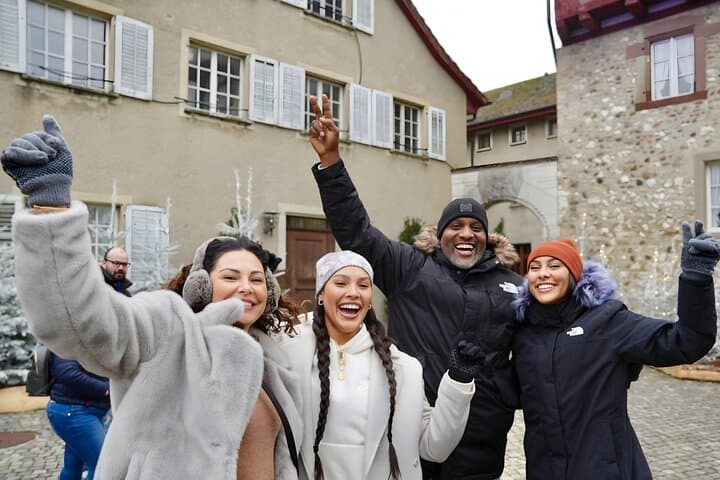 Private Rhine Falls Half Day Tour with a Local from Zurich