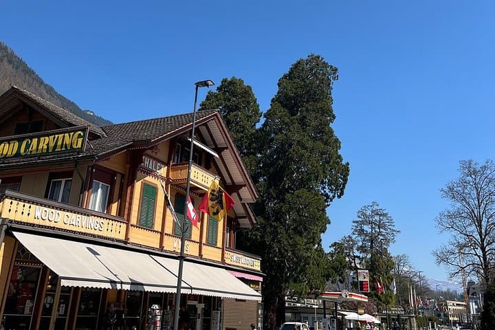 Basel to or from Interlaken Private Transfer for 1-4 passengers