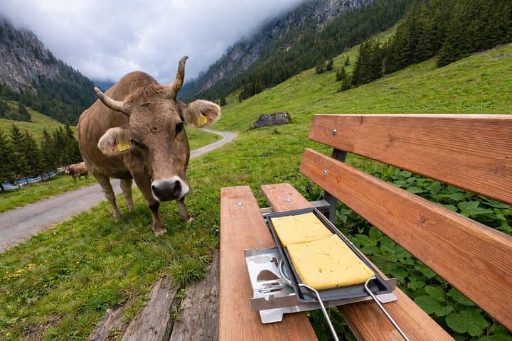 Swiss Alps and Waterfalls Private Tour from Zurich