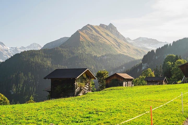 From Zurich: Bernese Oberland Small-Group Tour