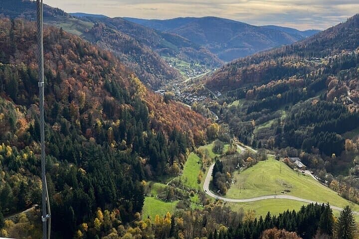 Blackforest: Beer, Cuckoo clocks, History, Nature Private Tour
