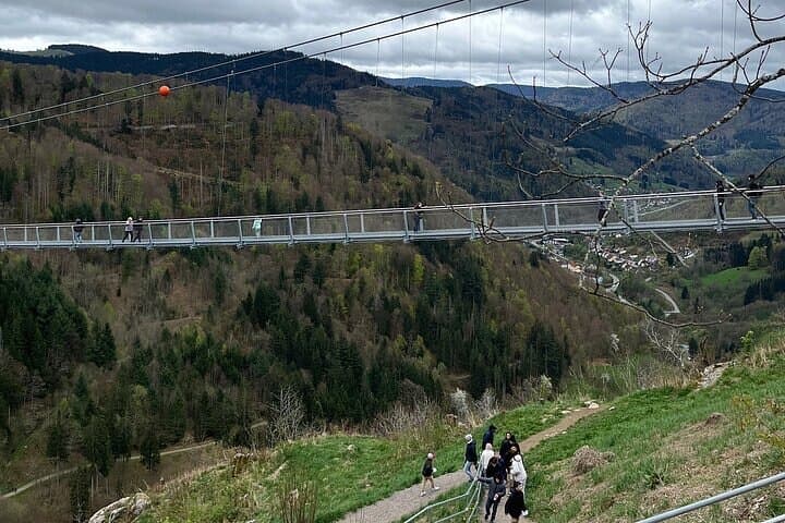 Blackforest: Beer, Cuckoo clocks, History, Nature Private Tour