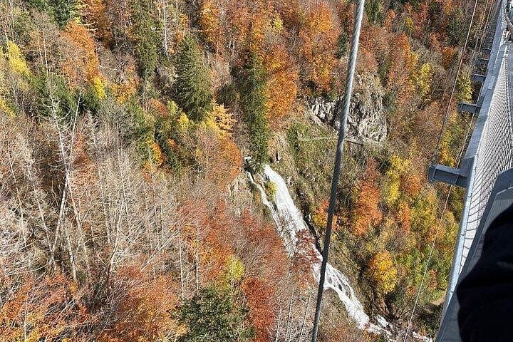 Blackforest: Beer, Cuckoo clocks, History, Nature Private Tour