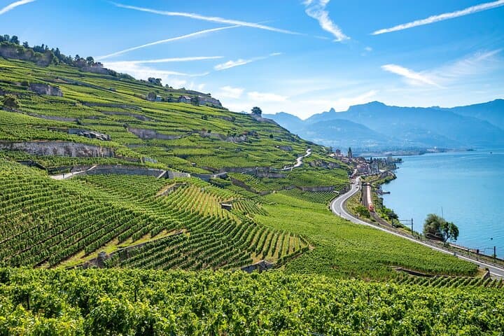 Private Day Trip from Geneva to Lausanne and Lavaux Vineyards