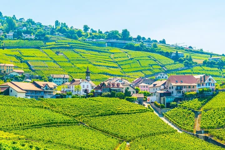 Private Day Trip from Geneva to Lausanne and Lavaux Vineyards