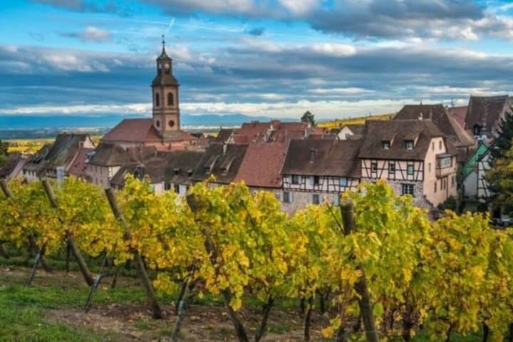 Icons of Alsace Wine Private Tour