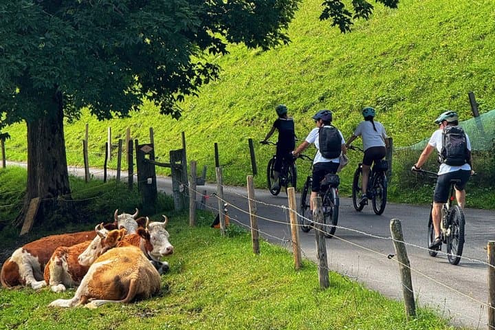 PRIVATE E-Bike Tour Griesalp Unesco Alpine Ride from Interlaken