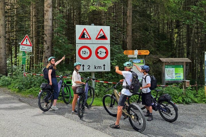 PRIVATE E-Bike Tour Griesalp Unesco Alpine Ride from Interlaken
