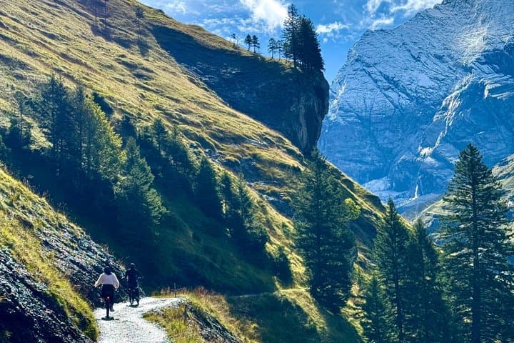 PRIVATE E-Bike Tour Griesalp Unesco Alpine Ride from Interlaken