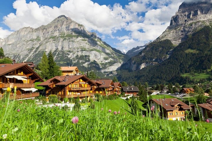 Private Walking Tour in Grindelwald with Alpine Views