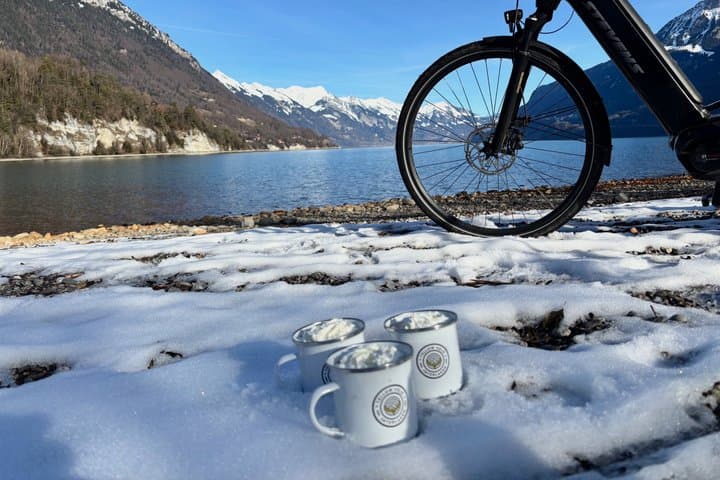 Interlaken Valley Winter E-Bike Tour: Rivers, Lakes & Castles