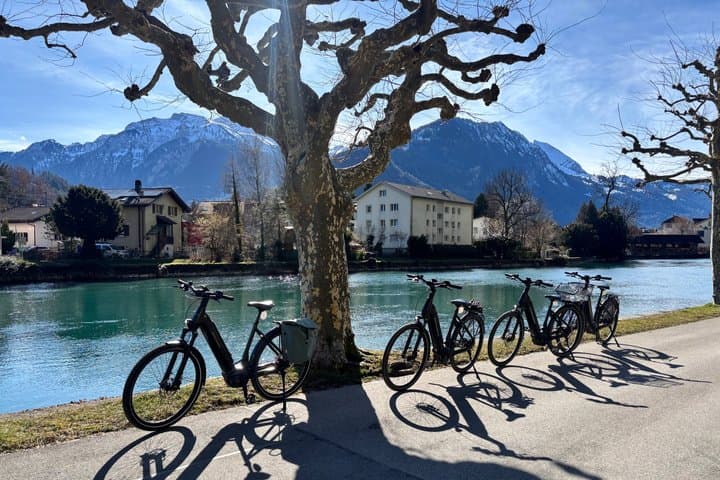 Interlaken Valley Winter E-Bike Tour: Rivers, Lakes & Castles