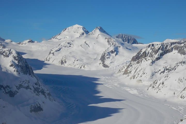Private Day Trip from Basel to Grindelwald and Jungfrau