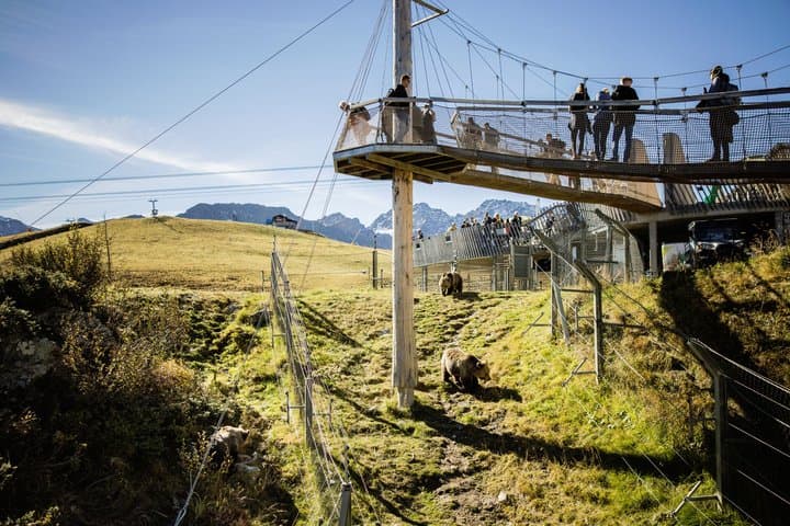 Arosa Bear Sanctuary Private Tour and Train Ride