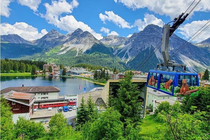 Arosa Bear Sanctuary Private Tour and Train Ride