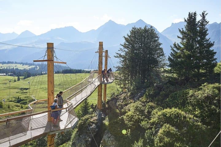 Arosa Bear Sanctuary Private Tour and Train Ride