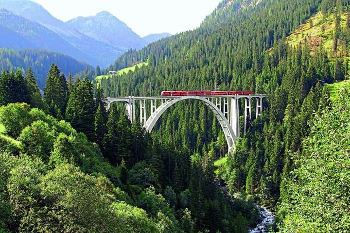 Arosa Bear Sanctuary Private Tour and Train Ride