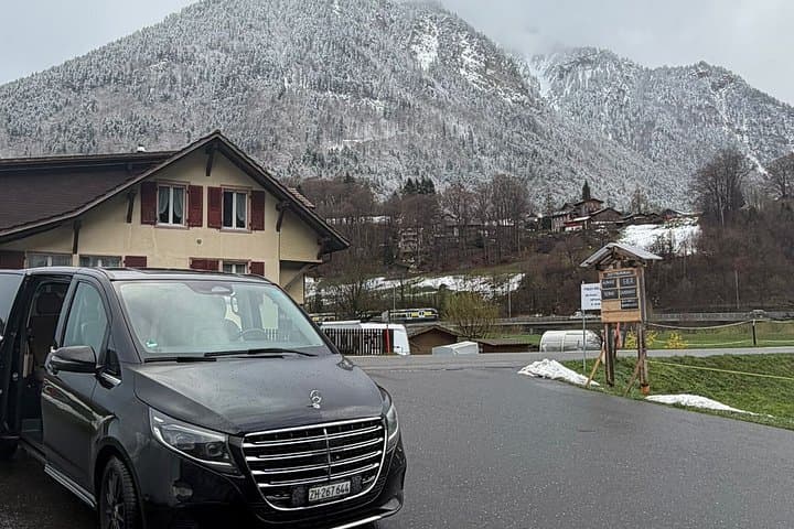 From Zurich Swiss Alps, Alpine Villages & Farm Visit Private Tour