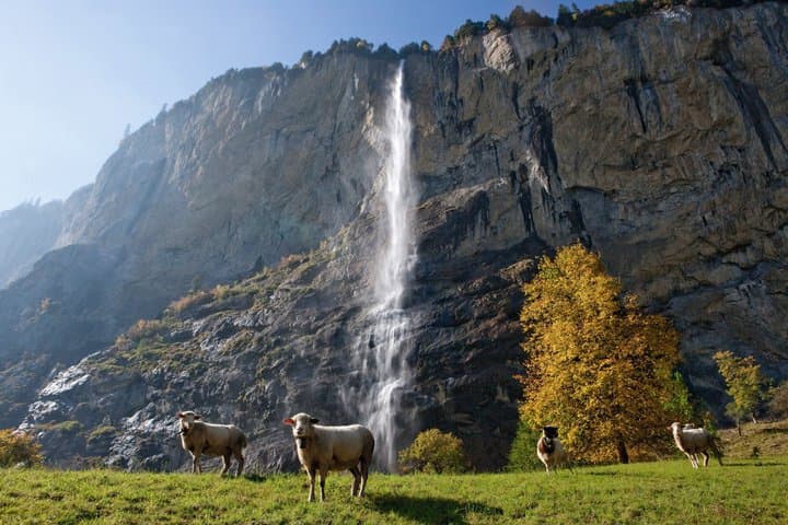 Grindelwald and Lauterbrunnen Guided Day Trip from Interlaken