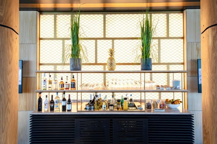 Zurich Airport ZRH VIP Lounge Access