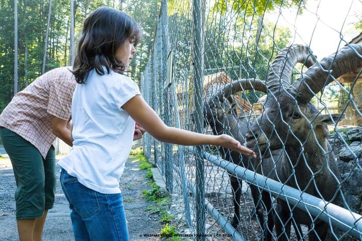 Forest Wildlife Park Hiking Tour from Hofstetten